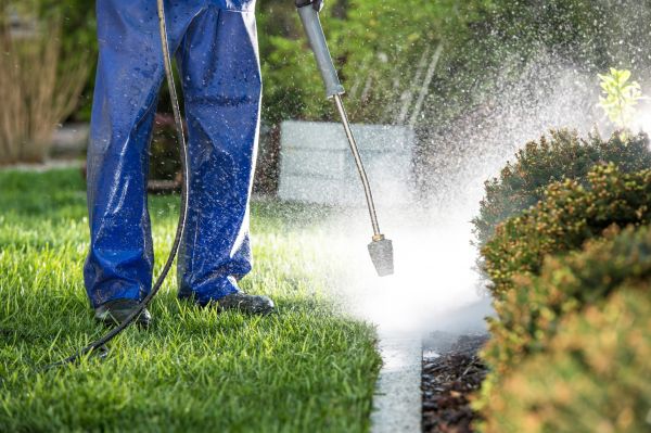 Curb Cleaning in Fort Walton Beach